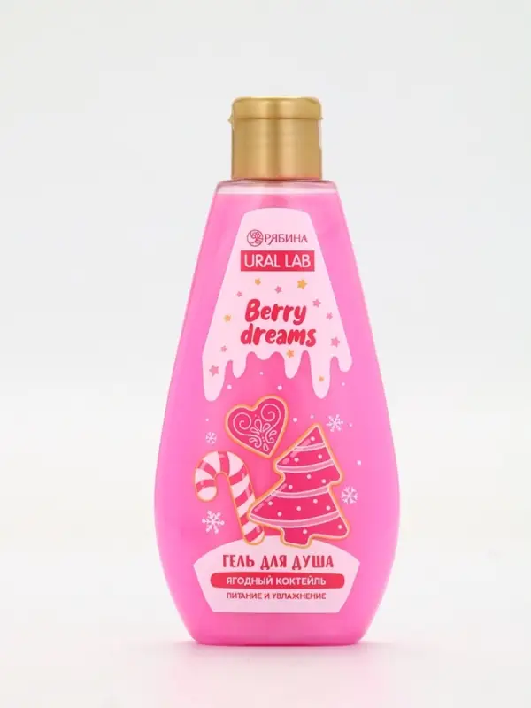 Подарочный набор новогодний: гель для душа 200 мл и бомбочки для ванны 4 шт х 40 г, URAL LAB