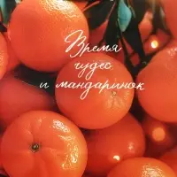 Пакет подарочный новогодний ламинированный, «Новогодние мандарины» , 11.5×6.5×14.5 см