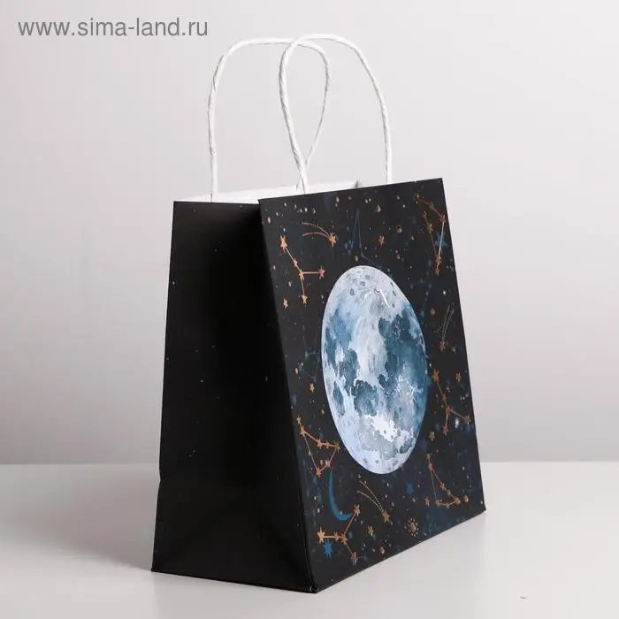Пакет подарочный крафтовый, упаковка, &laquo;Вселенная&raquo;, 22 х 22 х 11 см
