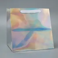Пакет для торта и коробок, с квадратным дном, голографический, 25&times;25&times;25 см