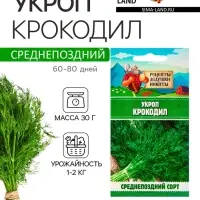 Семена Укроп "Крокодил", 2 г