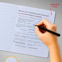 Комплект тетрадей из 10 штук, 12 листов в линию Calligrata "Тигрёнок", обложка мелованный картон, блок офсет, 5 видов по 2 штуки