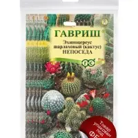 Набор семян комнатных Кактус &laquo;Непоседа&raquo;, 5 шт.