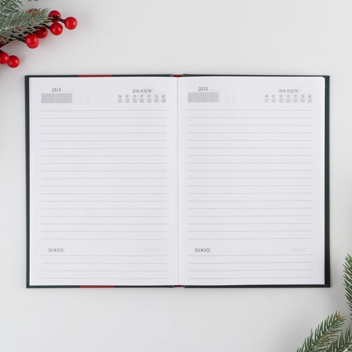 Новый год. Ежедневник классический «Новый год Время чудес», 7БЦ А5, 80 листов Новый год. Ежедневник классический «Новый год Время чудес», 7БЦ А5, 80 листов