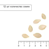 Семена Кабачок &laquo;Камили&raquo;, F1, 12 шт., &laquo;Поиск&raquo;