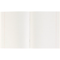 Тетрадь КЛЕТКА 48л.ПРИБРЕЖНЫЕ ВИДЫ 48-5049обл.цвет. мелов.,второй блок