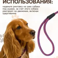 Ринговка для собак, 150&times;0.6 см, с вертлюгом, красная, синяя