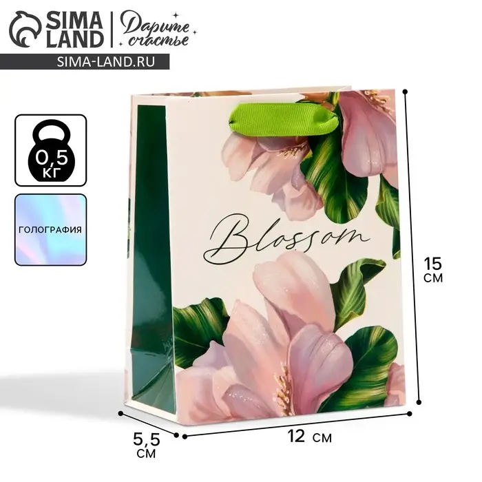 Пакет подарочный ламинированный, упаковка, &laquo;Цветение&raquo;, радужная голография, S 12 х 15 х 5.5 см