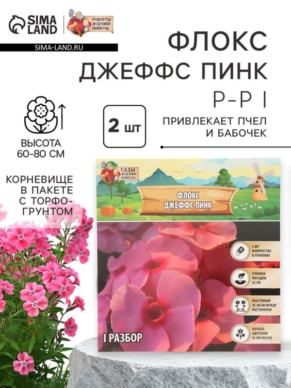 Флокс «Джеффс Пинк» корневище в пакете с торфогрунтом, р-р I, 2 шт.