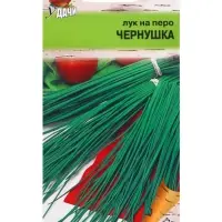 Семена Лук на перо &laquo;Чернушка&raquo;, 0.5 г, &laquo;Урожай удачи&raquo;