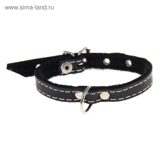 Ошейник тисненый на фетре, 30&times;1.2 см, кожа, цвет МИКС