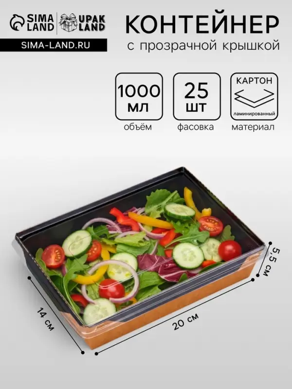 Салатник одноразовый, контейнер с плоской прозрачной крышкой, чёрный, 1 л, 20&times;14&times;5.5 см