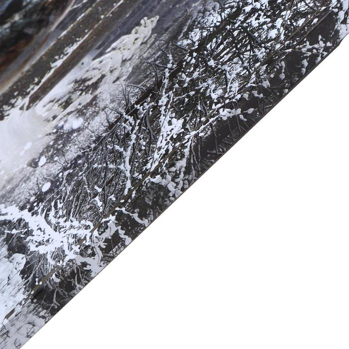 Картина на холсте Картина на холсте "Схватка зверей" 60х100 см