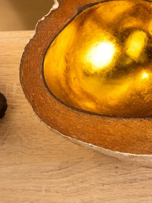 Чаша из кокоса, 18×18×10 см, бежево-золотая Чаша из кокоса, 18×18×10 см, бежево-золотая