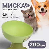 Миска на подставке, 200 мл, под углом, зелёная