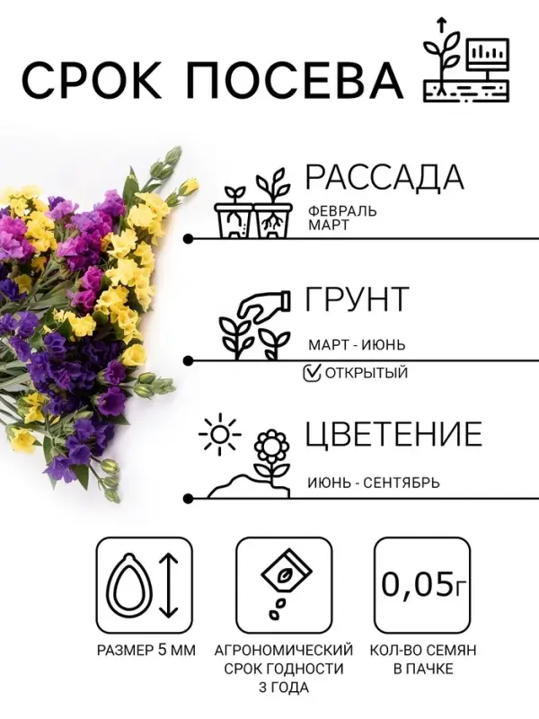 Семена цветов Статица &laquo;Мечта флориста&raquo;, смесь, 0.1 г, однолетник, &laquo;Агроуспех&raquo;