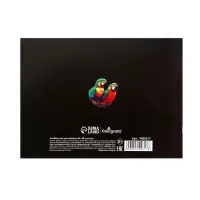 Альбом для рисования Calligrata, А4, 40 листов на скрепке, МИКС