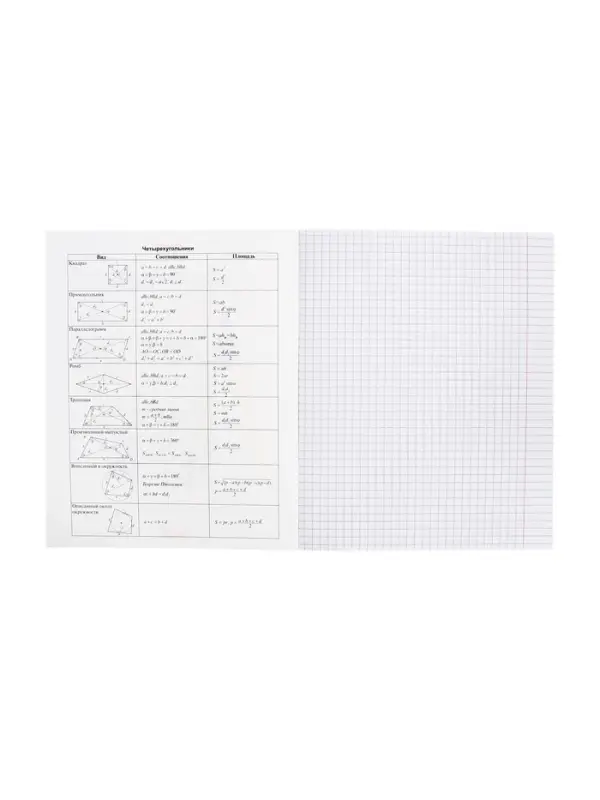 Тетрадь 48 листов в клетку &laquo;Приключения кота Пирожка&raquo; ГЕОМЕТРИЯ, обложка мелованная бумага, с интерактивным справочником, блок офсет