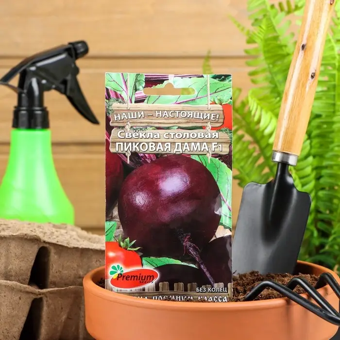 Семена Свёкла столовая Пиковая дама F1, 1гр Семена Свёкла столовая Пиковая дама F1, 1гр