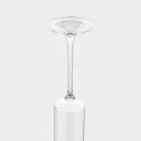 Набор бокалов для шампанского "Индиго" 2 шт, 6х24,5 см, прозрачные Набор бокалов для шампанского "Индиго" 2 шт, 6х24,5 см, прозрачные