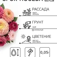 Семена цветов Астра &laquo;Леди Корал бежевая&raquo;, однолетняя, серия &laquo;Эксклюзив&raquo;, 0.05 г, &laquo;Гавриш&raquo;