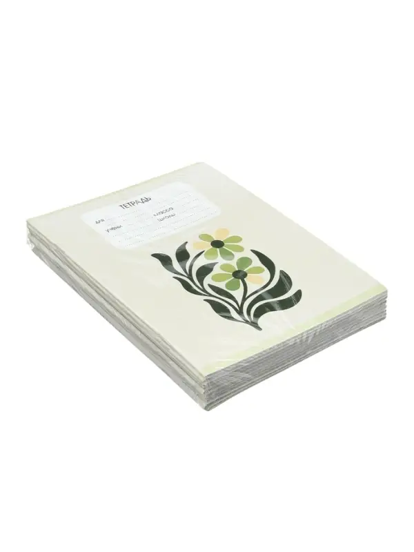 Тетрадь 10 штук, 24 листа в клетку Calligrata &laquo;Минимализм&raquo;, блок №2, серые листы, 5 видов