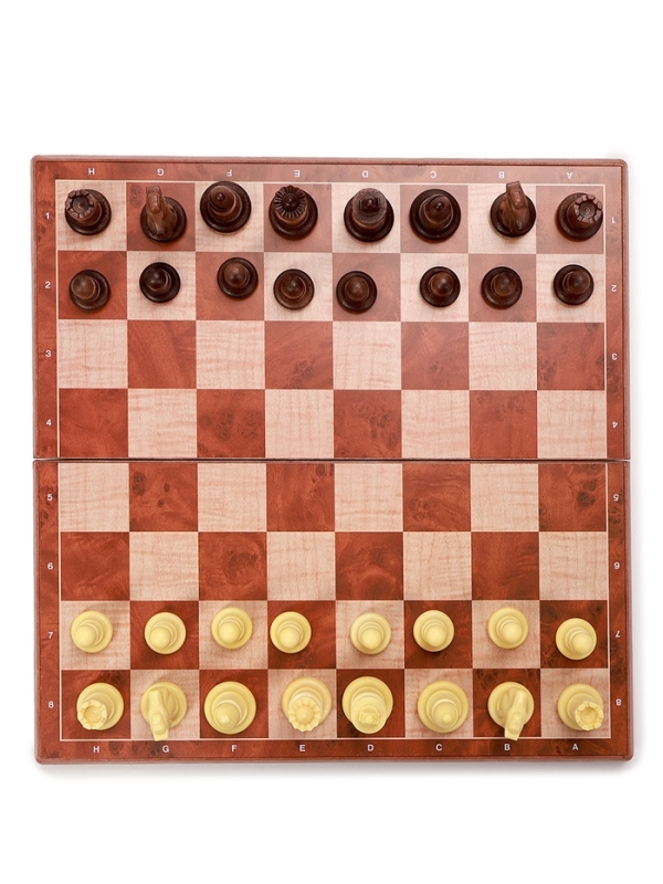 Шахматы магнитные 24 х 24 см, король h-4.9 см, пешка h-2.4 см Шахматы магнитные 24 х 24 см, король h-4.9 см, пешка h-2.4 см