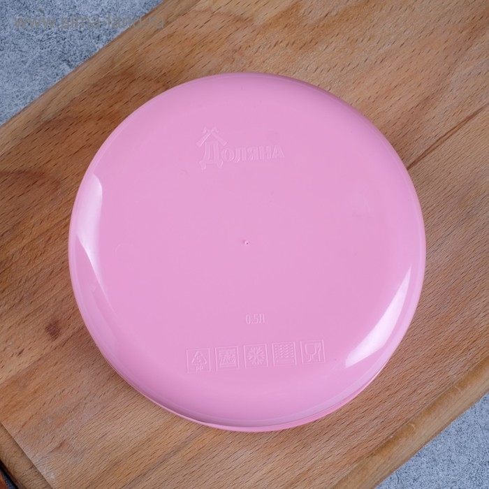 Ланч-бокс «Мне сладкое нельзя», 500 мл Ланч-бокс «Мне сладкое нельзя», 500 мл