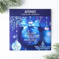 Ароматизатор для дома «Новогодний микс», 11 х 11 см