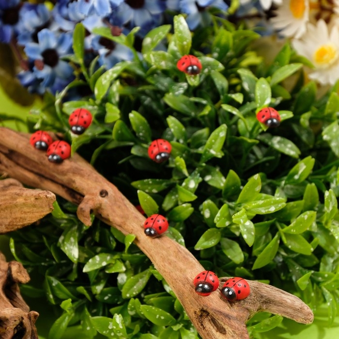 Декор флористический «Божьи коровки», 40 шт., 11 х 8 мм Декор флористический «Божьи коровки», 40 шт., 11 х 8 мм