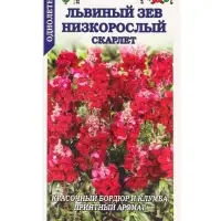 Семена Львиный зев Низкорослый скарлет /Сотка/ 0,1г/*1800 Семена Львиный зев Низкорослый скарлет /Сотка/ 0,1г/*1800