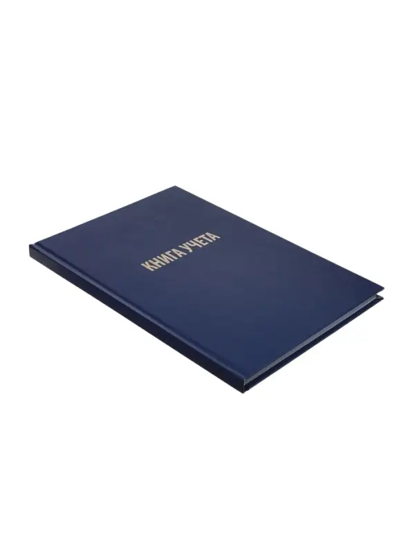 Книга учета А4, 144 листа, клетка, 200&times;290 мм, бумвинил, синий, блок офсетный