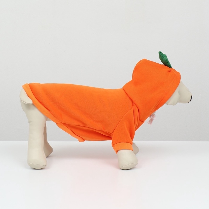 Толстовка Толстовка "Любимая морковка", размер M (ДС 30, ОГ 44 см)