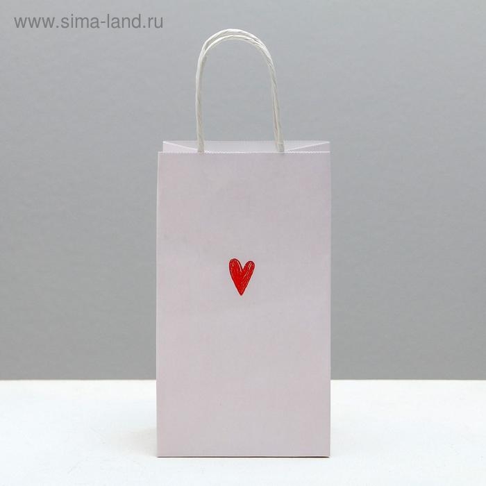 Пакет подарочный крафтовый, упаковка, «Просто Лю», 12 х 21 х 9 см Пакет подарочный крафтовый, упаковка, «Просто Лю», 12 х 21 х 9 см