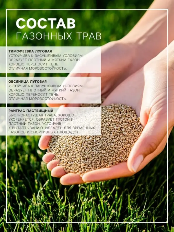 Газонная травосмесь &laquo;Быстрый газон&raquo;, 20 кг