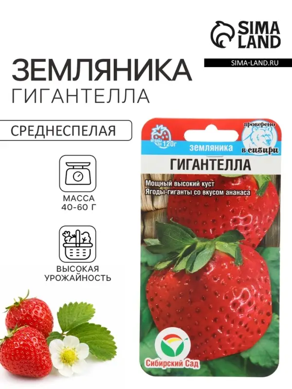 Семена Земляника &laquo;Гигантелла&raquo;, 10 шт., &laquo;Сибирский сад&raquo;