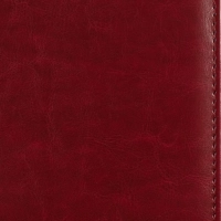 Ежедневник недатированный бордо,А5, 148x218, 352стр, Agenda