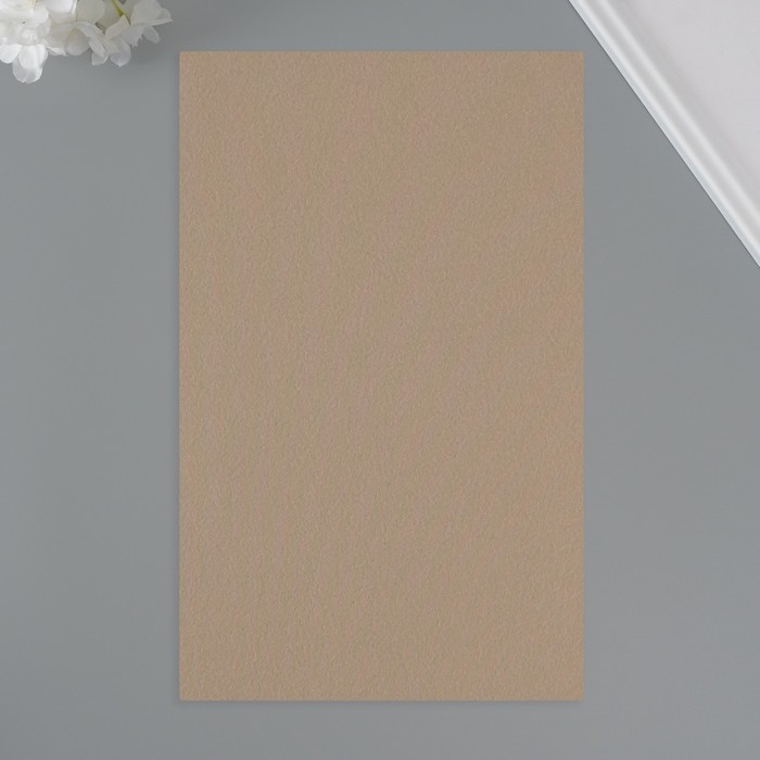 Лист для творчества иск.кожа Лист для творчества иск.кожа "Личи. Перламутр" тёмное серебро лист 33х20 см толщина 0,9 мм