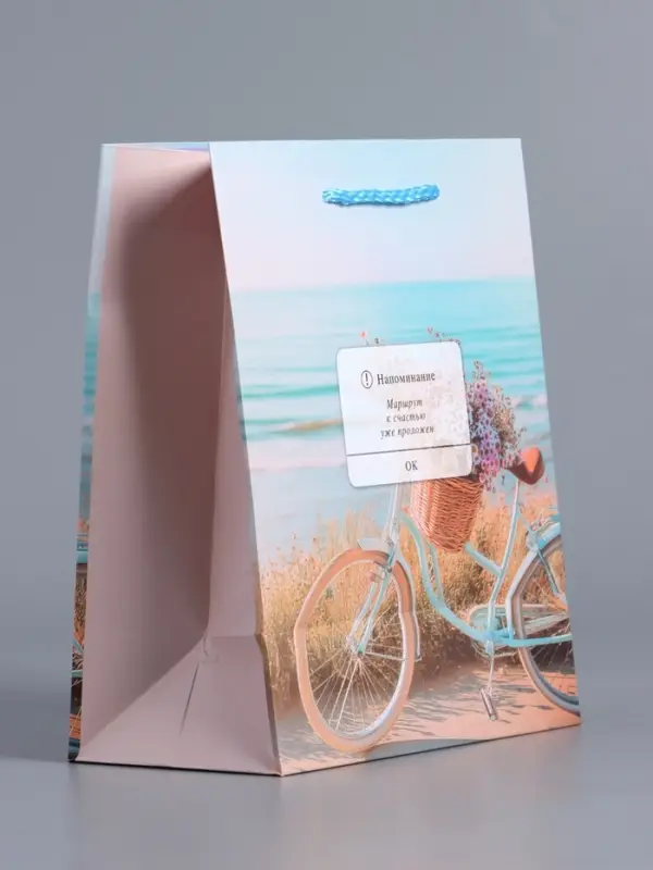 Пакет подарочный "Путь к мечте" ламинированный 18 х 22,3 х 10 см