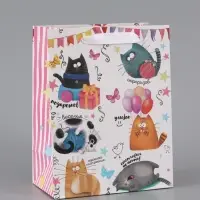 Пакет подарочный ламинированный, упаковка, &laquo;Забавные коты&raquo;, MS 18&times;23&times;10 см