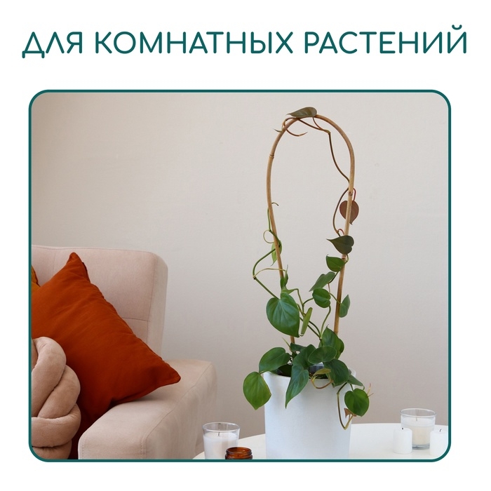 Дуга для подвязки растений, h=40 см, бамбук, Greengo Дуга для подвязки растений, h=40 см, бамбук, Greengo