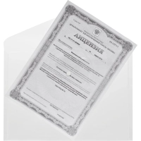 Папка-конверт на кнопке А4 КНК 180 бесцв. прз. 10шт/уп