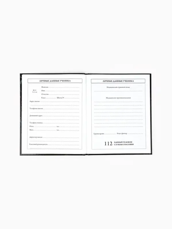 Дневник школьный 1-4 класса, в твердой обложке, 48 л &laquo;Космонавт Неон&raquo;