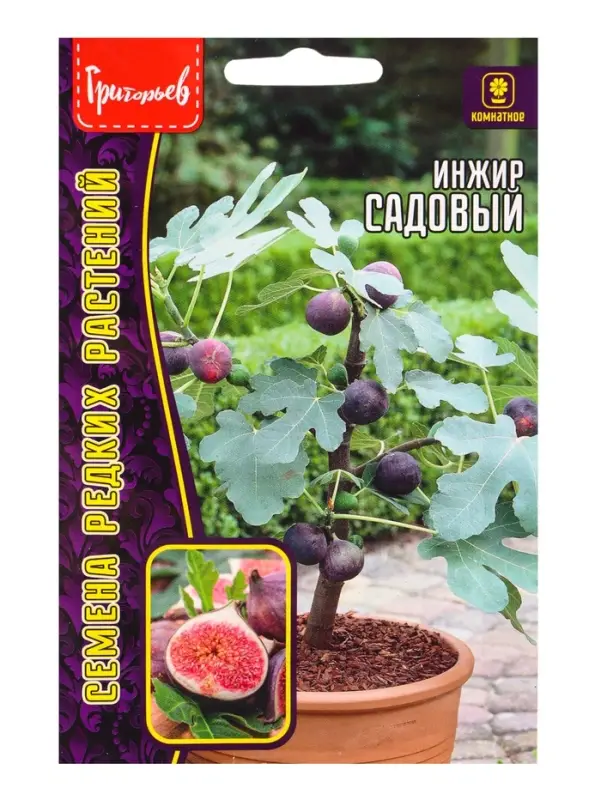 Семена Инжир Садовый &laquo;Фиговое дерево&raquo;, 30 шт., &laquo;Григорьев&raquo;