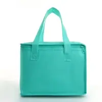 Термосумка на молнии, объём 9.6 л, зелёная