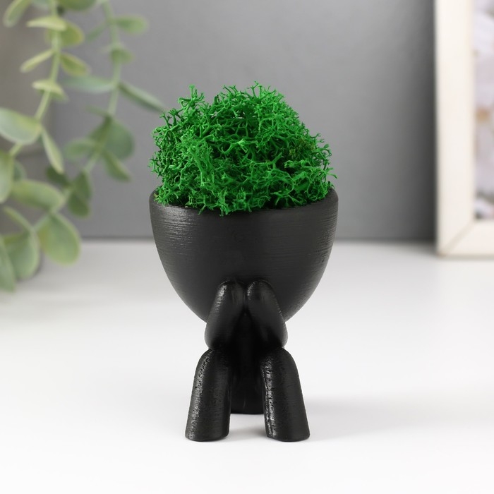 Кашпо бетонное мини Кашпо бетонное мини "Мистер Грин" Кикадзару со мхом черный 5,5х6х6,5 см (мох зел. стабилиз)