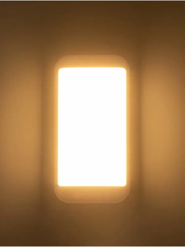 Светильник &laquo;Минимал&raquo; прямоугольник LED 10 Вт 6500К (быстросъемный механизм) белый 5&times;12&times;24 см