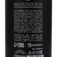 Гель для душа и шампунь мужской 2 в 1, 1000 мл, ULAB