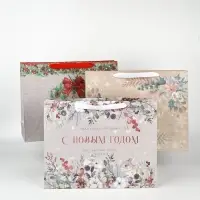 Пакеты подарочные новогодние &laquo;Спешу поздравить&raquo;, набор 3 шт., 31&times;40&times;11 см
