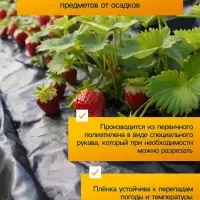 Плёнка из полиэтилена, техническая, толщина 120 мкм, чёрная, 10&times;3 м, рукав (1.5 м&times;2), Эконом 50%, для дома и сада, Greengo